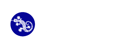 Adventure Kids (2)